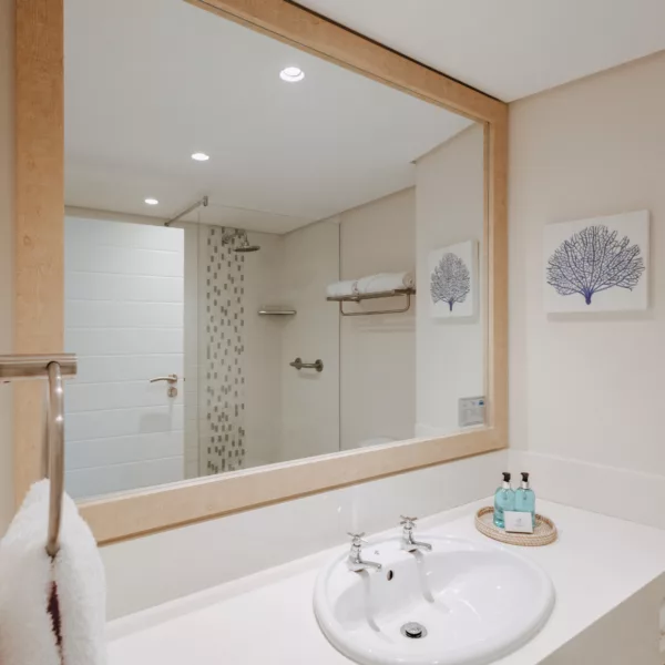 bathroom mirror and basin