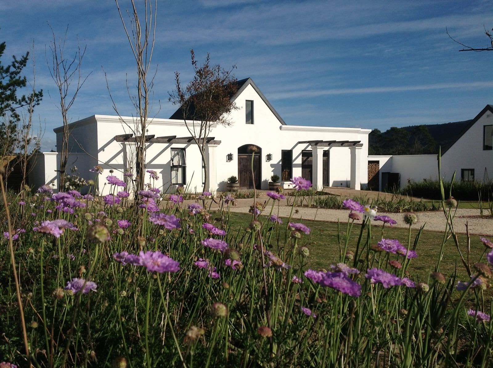 WhatsApp Image 2025 03 10 at 14.53.19